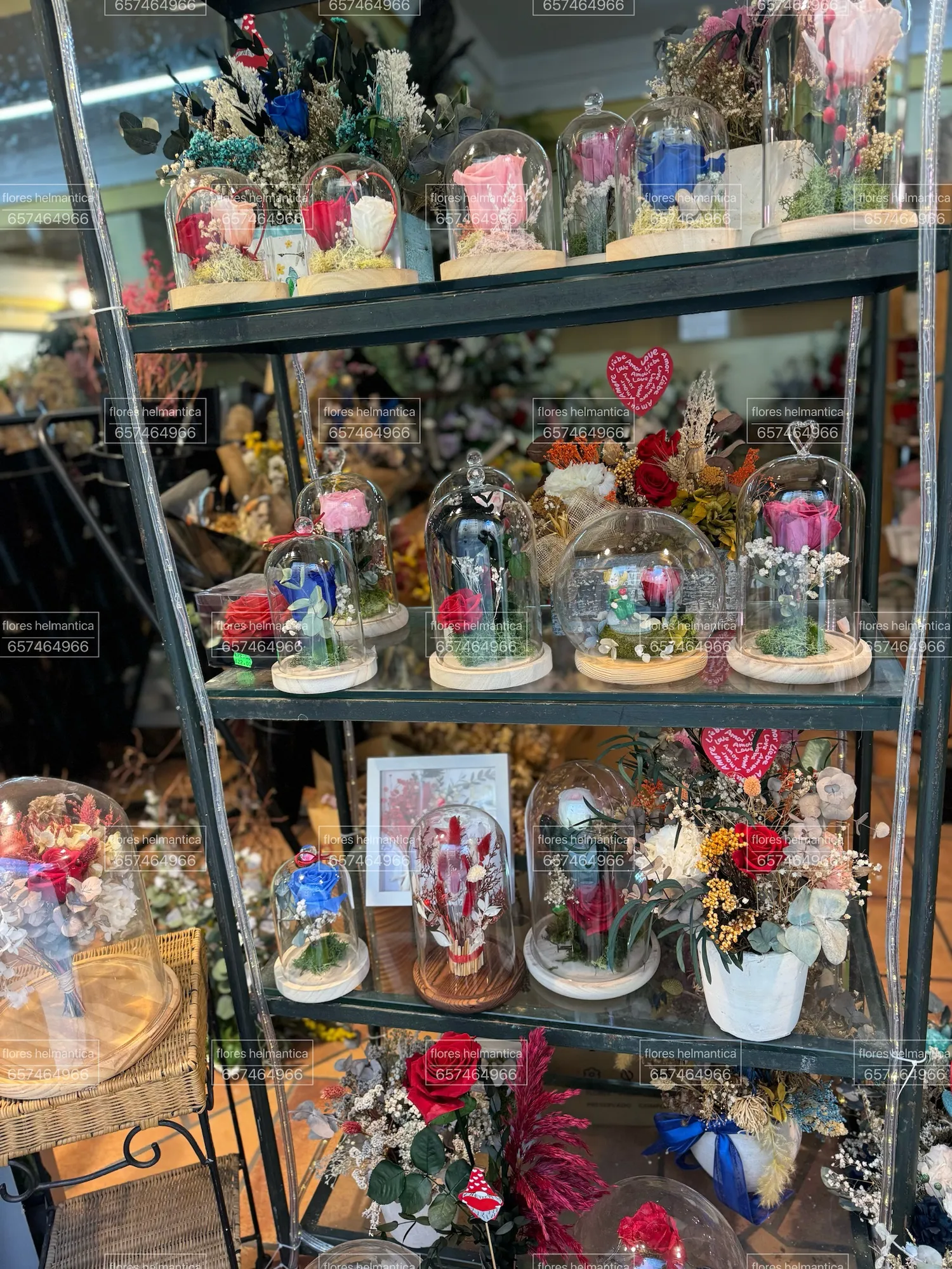 Rosas y composiciones preservadas artesanales — Flores Helmántica