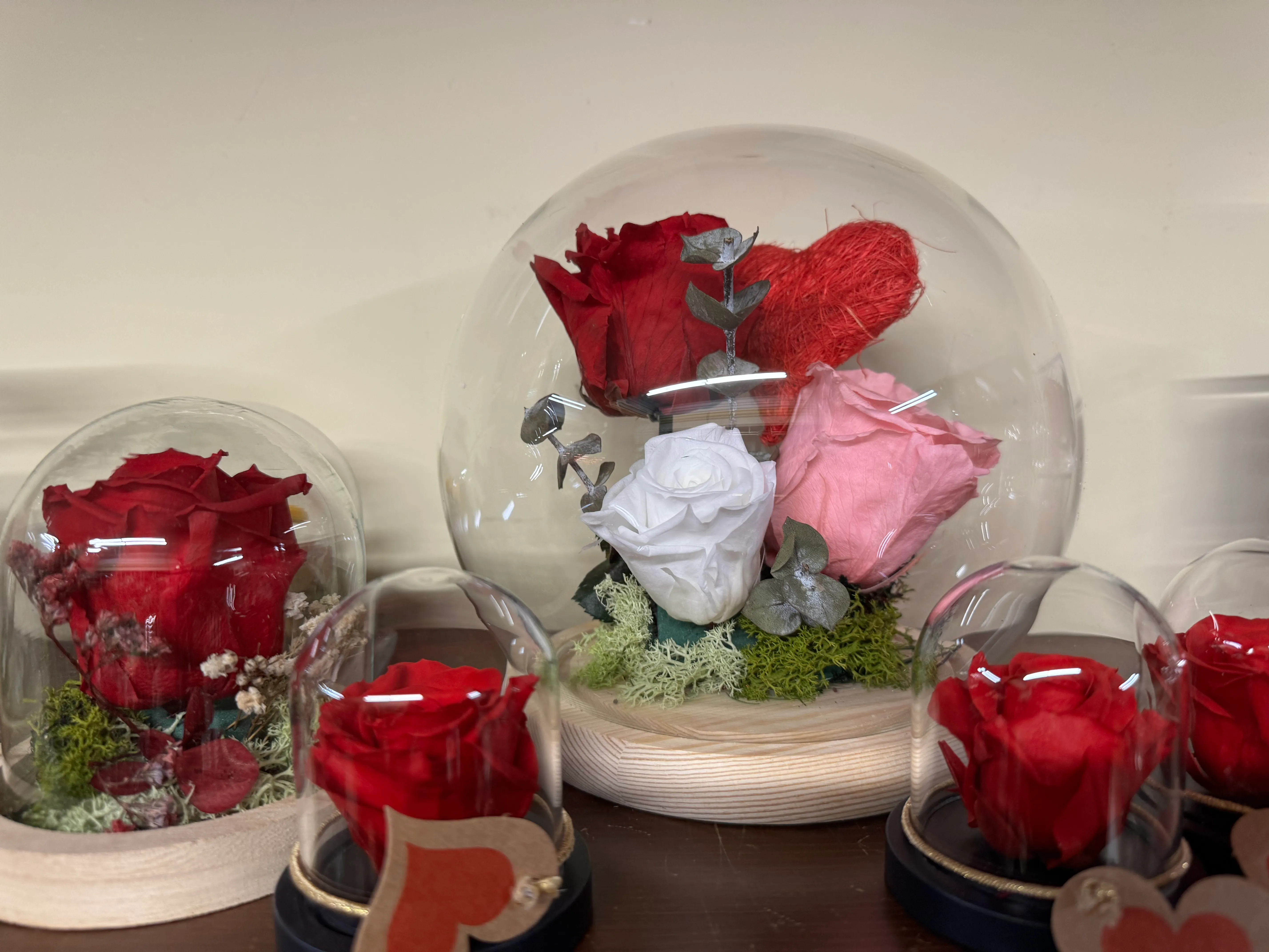 Rosas eternas decorativas en cúpula — Flores Helmántica